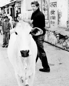 Brad Pitt Roaming Varanasi? Definitely Not The Sight You Expected To See