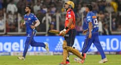 'Should've Slapped...': Shashank Singh Reacts To Shreyas Iyer's On-Field Outburst