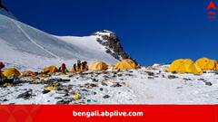 মাউন্ট এভারেস্টে বিষধর সাপের আনাগোনা! একমাসে উদ্ধার ১০টি কিং কোবরা, কোন বিপদের ইঙ্গিত?