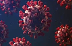 Corona in India: 9 દિવસમાં 58 મોત, માત્ર 16 દિવસમાં 23 ગણા વધ્યા કેસ, દેશમાં કોરોનાના કેસ 6000ને પાર