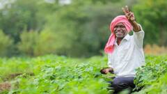 किस दिन जारी होगी किसान योजना की अगली किस्त, यहां करें पता