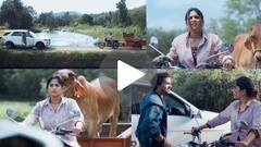 ती अस्सल गावरान, तो पक्का शहरी, स्टार प्रवाहवर येणार नवी मालिका; प्रोमोने चाहत्यांची उत्सुकता वाढवली