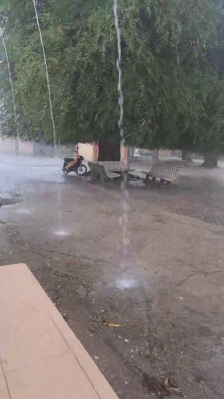 આ વરસાદ પ્રી મોન્સૂન એક્ટિવિટીનો એક ભાગ હોઈ શકે છે, જે સત્તાવાર ચોમાસાના આગમન પહેલા જ જમીનને ભેજવાળી બનાવશે અને ખેડૂતોને પાકની વાવણી માટે અનુકૂળ વાતાવરણ પૂરું પાડશે.