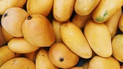 इन देशों को 'आम' भेजता है भारत, लिस्ट में सबसे ऊपर है ये मुस्लिम देश