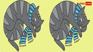 एक जैसी दिख रही इन बिल्लियों में खोजिए तीन अंतर...10 सेकंड में जवाब देने वाला कहलाएगा नवाब