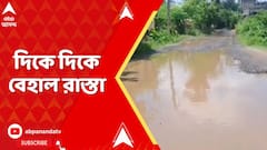 WB News: পূর্ব বর্ধমানের ভাতার থেকে বীরভূমের সিউড়ি রাস্তার বেহাল ছবিটা মোটের উপর সর্বত্রই এক
