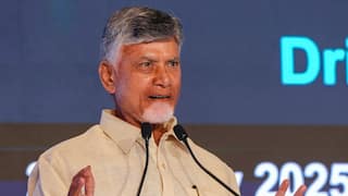 ‘Didn’t Just Learn Hindi…’: Andhra CM Naidu Cites Narasimha Rao As Pawan Kalyan Backs Hindi As ‘Rashtra Bhasha’