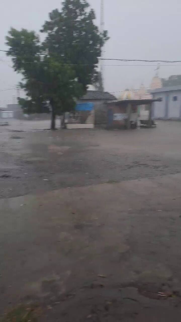 ગુજરાતમાં ચોમાસાના સત્તાવાર આગમન પહેલા જ હવામાન વિભાગે રાજ્યના વિવિધ ભાગોમાં આગામી ૬ દિવસ ગાજવીજ સાથે હળવાથી મધ્યમ વરસાદની આગાહી કરી છે. આ પ્રી મોન્સૂન એક્ટિવિટી ખેડૂતો અને નાગરિકો માટે ગરમીથી રાહત લઈને આવશે. હવામાન વિભાગના જણાવ્યા અનુસાર, રાજ્યમાં ૧૫ જૂન આસપાસ ચોમાસાનું આગમન થઈ શકે છે.