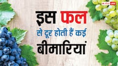 ब्लड प्रेशर-डाइजेशन से लेकर वेट लॉस तक... हर सीजन में आने वाला ये फल खा लिया तो कई बीमारियां हो जाएंगी दूर