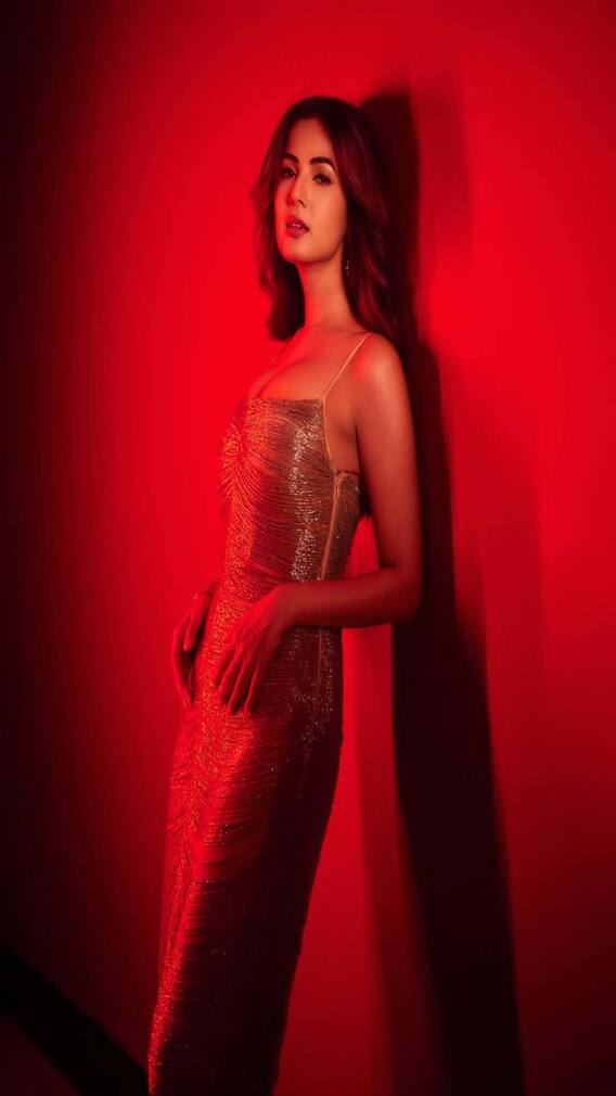 Sonal Chauhan Dazzles In Golden Gown, See Pics