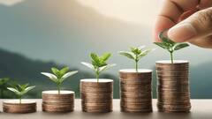 छोटी गुंतवणूक मोठा नफा! 10 हजार रुपयांचे झाले 8 लाख रुपये, कुठे कराल गुंतवणूक?