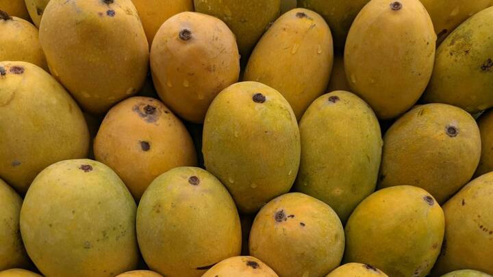 भारतीय आमों में सबसे ज्यादा डिमांड दशहरी आम की होती है. इसके बाद अल्फांसो और केसर का नाम आता है. ये आम अपने खास तरीके के स्वाद, खुशबू और मिठास के लिए जानें जाते हैं.