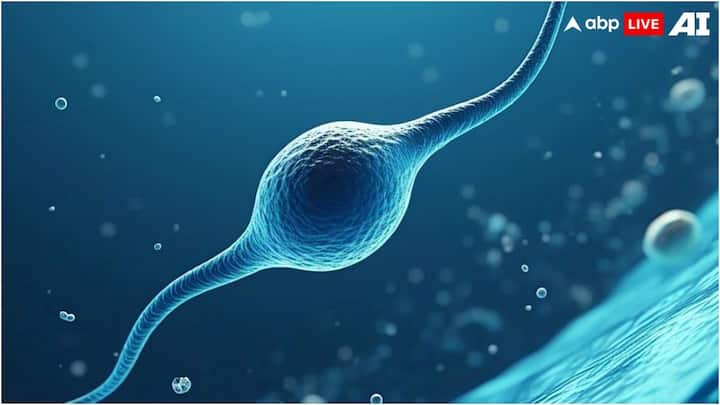Sperm General Knowledge Story: જો તમે પણ લાંબા સમયથી ગર્ભવતી થવાનો પ્રયાસ કરી રહ્યા છો, તો તમારી પાસે તમારા ઓવ્યુલેશન સમયગાળા અને શુક્રાણુ વિશે સાચી માહિતી હોવી જોઈએ. આ માહિતી તમને ગર્ભવતી થવામાં મદદ કરી શકે છે.