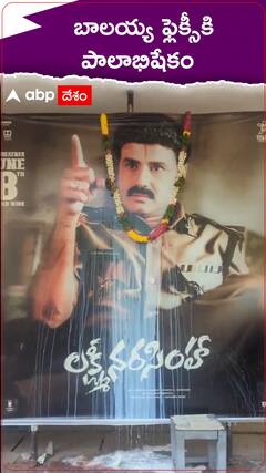 బాలయ్య ఫ్లెక్సీకి పాలాభిషేకం