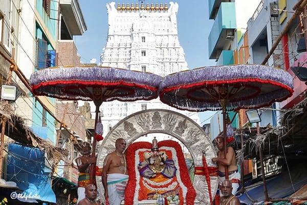 భక్తజన బృందాల చెక్కభజనలు, కోలాటాలు, మంగళవాయిద్యాల మధ్య వైభవంగా సూర్యప్రభవాహన సేవ సాగింది