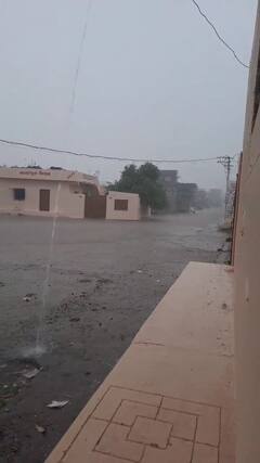 Gondal rain: રાજકોટના ગોંડલ વિસ્તારમાં સતત બીજા દિવસે વરસાદ તૂટી પડ્યો, ખેડૂતો ખુશખુશાલ!