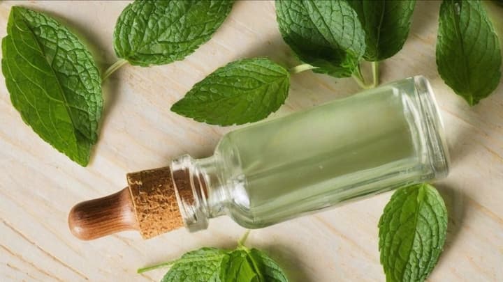 3. Peppermint Oil: Peppermint oil has a natural cooling effect that soothes sore muscles and improves the blood flow. Dilute a few drops with a carrier oil and gently massage it onto your temples, forehead, or the base of your skull. The refreshing aroma helps reduce mental fatigue. (Image Source: Pinterest/mollyshomeguide)