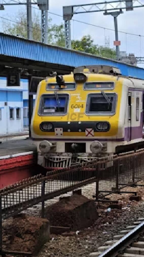 मुंबई लोकल ट्रेनमधून पडूनकिती जण जखमी, किती जणांचा मृत्यू?