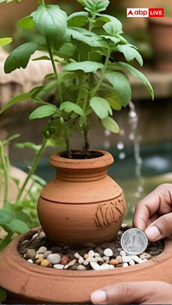 तुळशी जवळ रुपयाचे नाणे पुरल्यास काय फळ मिळते?