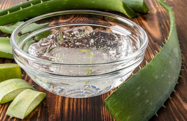 एलोवेरा जेल: ताजगी और चमक के लिए एलोवेरा जेल लगाएं. यह त्वचा को सॉफ्ट बनाता है, पिंपल्स और जलन से राहत देता है. सुबह और रात दोनों समय इस्तेमाल करें.