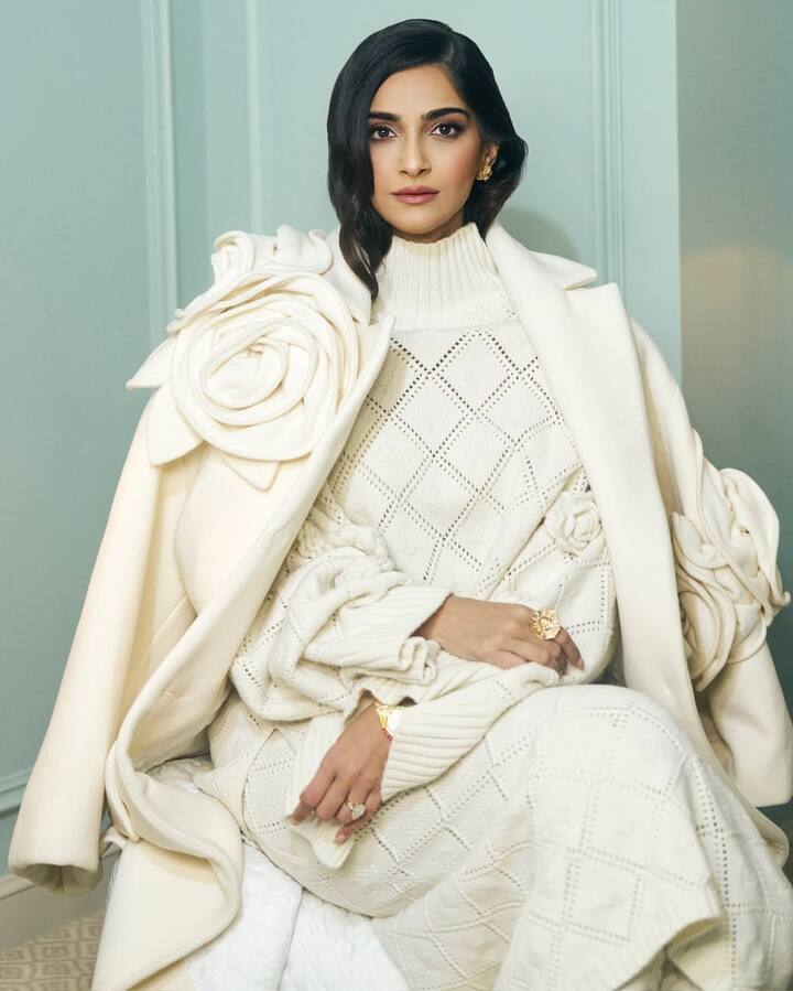 सोनम ने पिछले काफी वक्त से बॉलीवुड से दूरी बना रखी है. फिलहाल वो अपना पूरा फोकस अपनी फैमिली पर कर रही हैं.