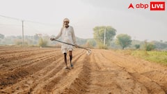 PM Kisan 21st Installment 2025: પીએમ કિસાન યોજનાનો 21મો હપ્તો ક્યારે આવશે? આ દિવસે ખેડૂતોના ખાતામાં જમા થશે 2,000 રૂપિયા