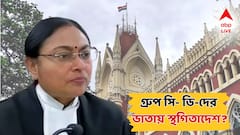 'এখনই কোনও টাকা দেবেন না', গ্রুপ সি- ডি-দের ভাতা সংক্রান্ত মামলার শুনানিতে প্রাথমিক পর্যবেক্ষণ বিচারপতি অমৃতা সিনহার