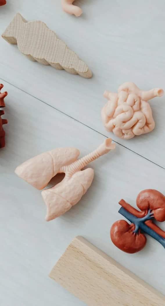 इस आदत की वजह से किडनी में आ सकती है सूजन