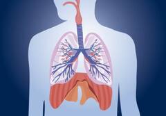 स्मोकिंग करने के 6 भारी नुकसान, क्या आप भी हर रोज पीते हैं सिगरेट?