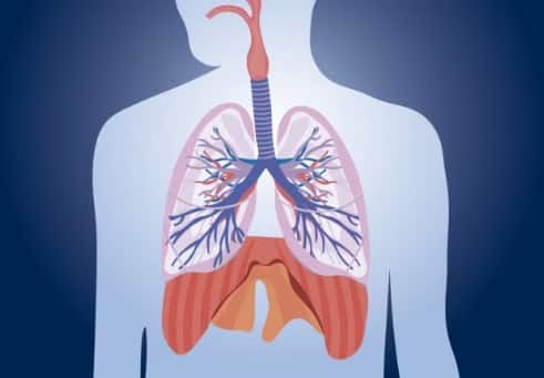 फेफड़ों की बर्बादी: स्मोकिंग सबसे पहले आपके फेफड़ों पर हमला करती है. यह फेफड़ों की कार्यक्षमता को कमजोर करती है और आपको सांस लेने में तकलीफ होने लगती है. लंबे समय तक सिगरेट पीने से लंग कैंसर और क्रॉनिक ब्रोंकाइटिस जैसी जानलेवा बीमारियां हो सकती हैं.