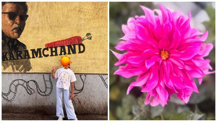 Shahid Kapoor’s wife, Mira Rajput, recently offered her followers a heartwarming glimpse into a week well spent amidst nature, family, and simple joys.