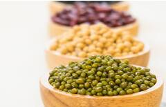 Health Tips: વેજીટેરિયન લોકો માટે પ્રોટીનનું પાવર હાઉસ છે આ ફૂડ, જાણો ડાયટમાં સામેલ કરવાના ગજબ ફાયદા