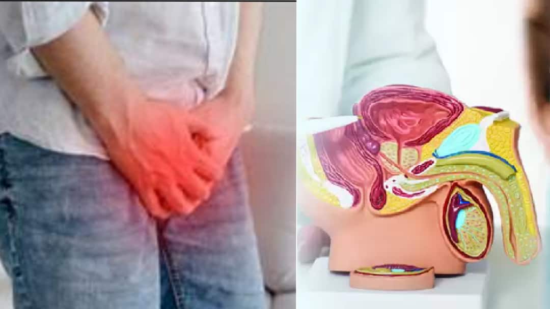 Health Men Over 45 Must Take This Prostate Cancer Test What Experts Say About Timely Detection and Care 45 वर्षांवरील पुरुषांनी प्रोस्टेट कर्करोगाची ही चाचणी करणं अत्यंत आवश्यक, योग्य काळजी न घेतल्यास.. काय सांगतात तज्ञ?