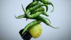 લીંબુના આ ઉપાય મંગળવારના દિવસે કરવાથી ધંધા રોજગારમાં મળે છે સફળતા