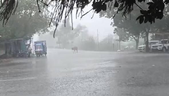 Gujarat Rain: સૌરાષ્ટ્ર-દક્ષિણ ગુજરાતમાં વરસાદનું એલર્ટ, જાણો હવામાન વિભાગની આગાહી Rain forecast in Saurashtra and South Gujarat Gujarat Rain: સૌરાષ્ટ્ર-દક્ષિણ ગુજરાતમાં વરસાદનું એલર્ટ, જાણો હવામાન વિભાગની આગાહી