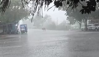 Gujarat Rain:  સૌરાષ્ટ્ર-દક્ષિણ ગુજરાતમાં વરસાદનું એલર્ટ, જાણો હવામાન વિભાગની આગાહી 