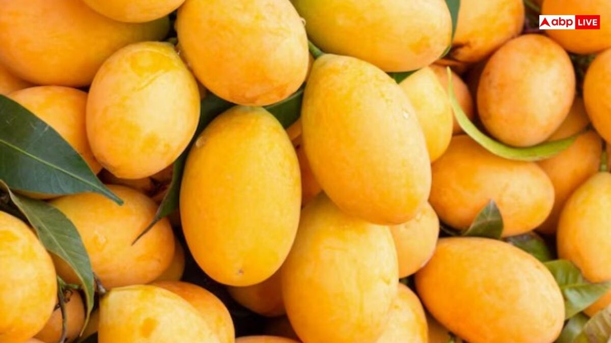 ये 6 लोग आम खाने की ना करें गलती, वरना पहुंच जाएंगे अस्पताल