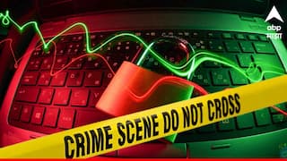 धक्कादायक! चाईल्ड पॉर्नोग्राफीत नाशिकमध्ये एकाच वेळी 357 जणांवर गुन्हा दाखल; मेटानेच दिली माहिती