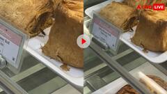 इस बड़े बेकरी ब्रैंड के खाने में दिख गया कॉक्रोच, वीडियो वायरल होने के बाद छिड़ गई बहस