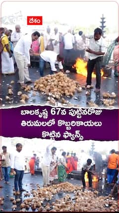 Nandamuri Balakrishna Birthday Celebration