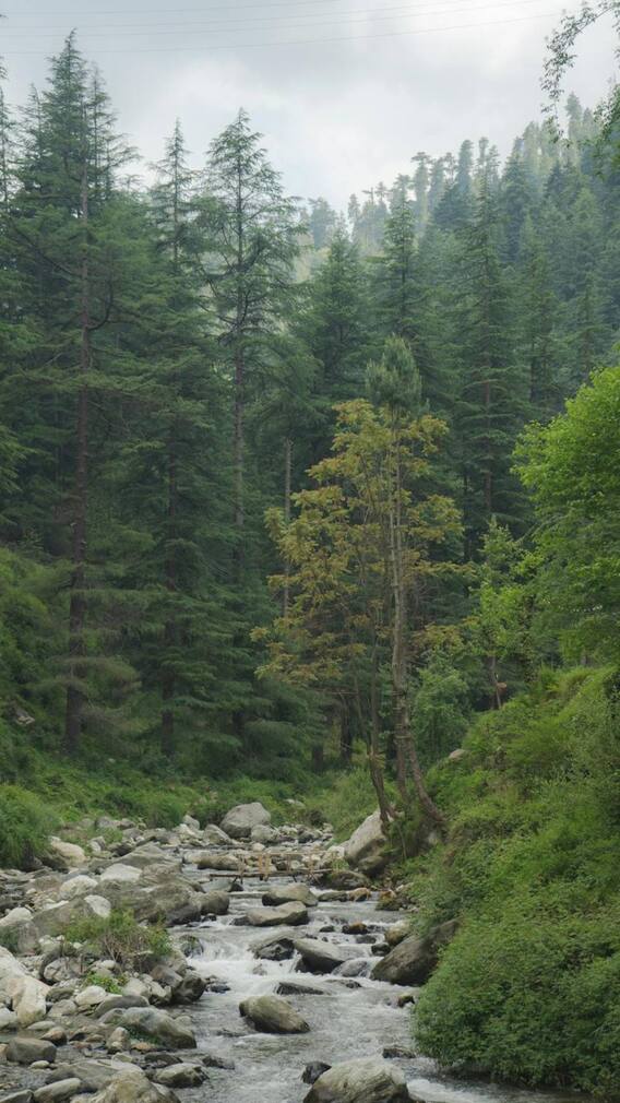 गर्मियों में घूमने के लिए जम्मू-कश्मीर की 10 सेफ जगहें