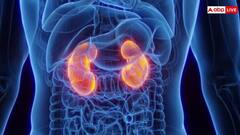 किडनी पर बुरा असर डाल सकती हैं ये चीजें, खाने से पहले हो जाएं सतर्क