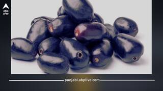 ਕੀ ਤੁਹਾਡਾ ਵੀ ਵੱਧ ਜਾਂਦੈ ਬਲੱਡ ਸ਼ੂਗਰ ਲੈਵਲ? ਡਾਕਟਰ ਨੇ ਦਿੱਤੀ ਇਹ ਖਾਸ ਫਲ ਖਾਣ ਦੀ ਸਲਾਹ