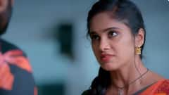 Ayali Serial: உங்களுக்கு அசிங்கமா இல்லையா? ஜமுனாவுக்கு ஷாக் தந்த செல்லம்மா - அயலியில் விறுவிறுப்பு