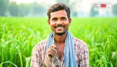 Farming in India: ઓર્ગેનિક ખેતી સાથે તૈયાર થઇ રહ્યો છે ખેડૂતોની સમૃદ્ધિનો પ્લાન, બદલાઇ રહી છે ગ્રામીણ ભારતની તસવીર