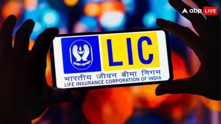 প্রশিক্ষণ শেষ হওয়ার পরে সেই মহিলাকে বিমা সখি শংসাপত্র দেওয়া হয় এবং এলআইসির এজেন্ট কোড দেওয়া হয়ে থাকে।