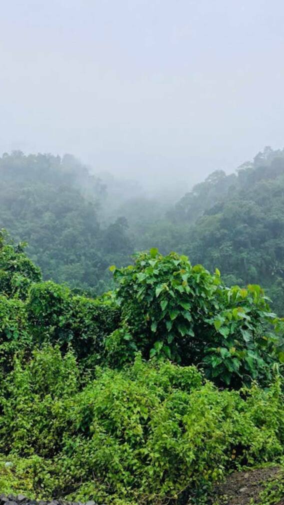 असम में कैसे होती है घुसपैठ?