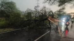 भंडाऱ्यात वादळ वारं सुटलं गं... झाडं उन्मळून पडली, 51 फूट उंचीची मूर्ती कोसळली, वाहतूक खोळंबली