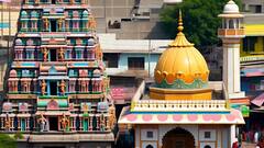 Muslim Population: 10 सालों में 30 करोड़ बढ़ गई मुस्लिम आबादी, जानें हिंदुओं की जनसंख्या कितनी बढ़ी