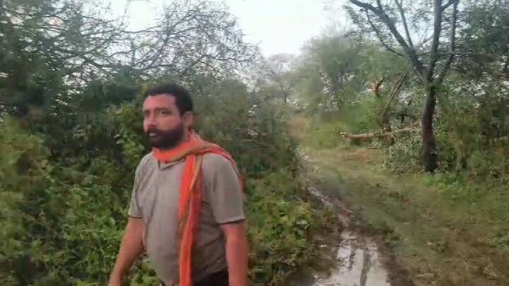 प्रचंड वेगानं आलेल्या वादळानं अनेकांच्या घरावरील टीन पत्रांसह कौलारू घरांवरील छत उडालेत.अनेकांच्या शेतातील सोलर पॅनलही उडाले असून बागायती शेतीचं नुकसान झाल्याची भीती वर्तविण्यात येत आहे.